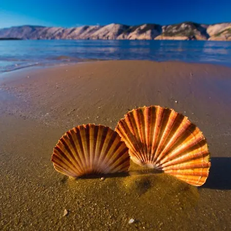 Beachfront Appartement Lopar