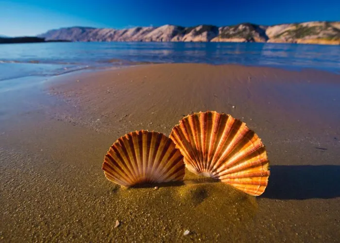 Beachfront 公寓 洛帕